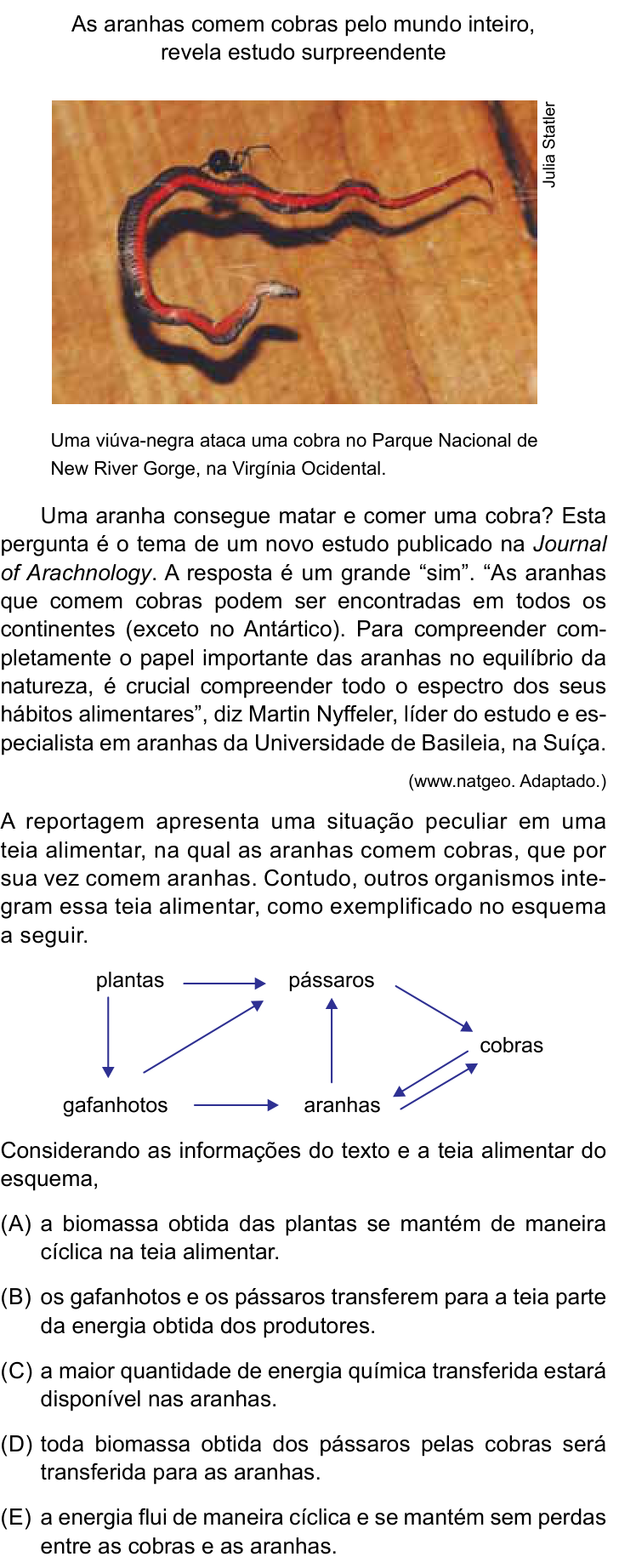 Questão 61 no caderno Conhecimentos Gerais da UNESP 2022