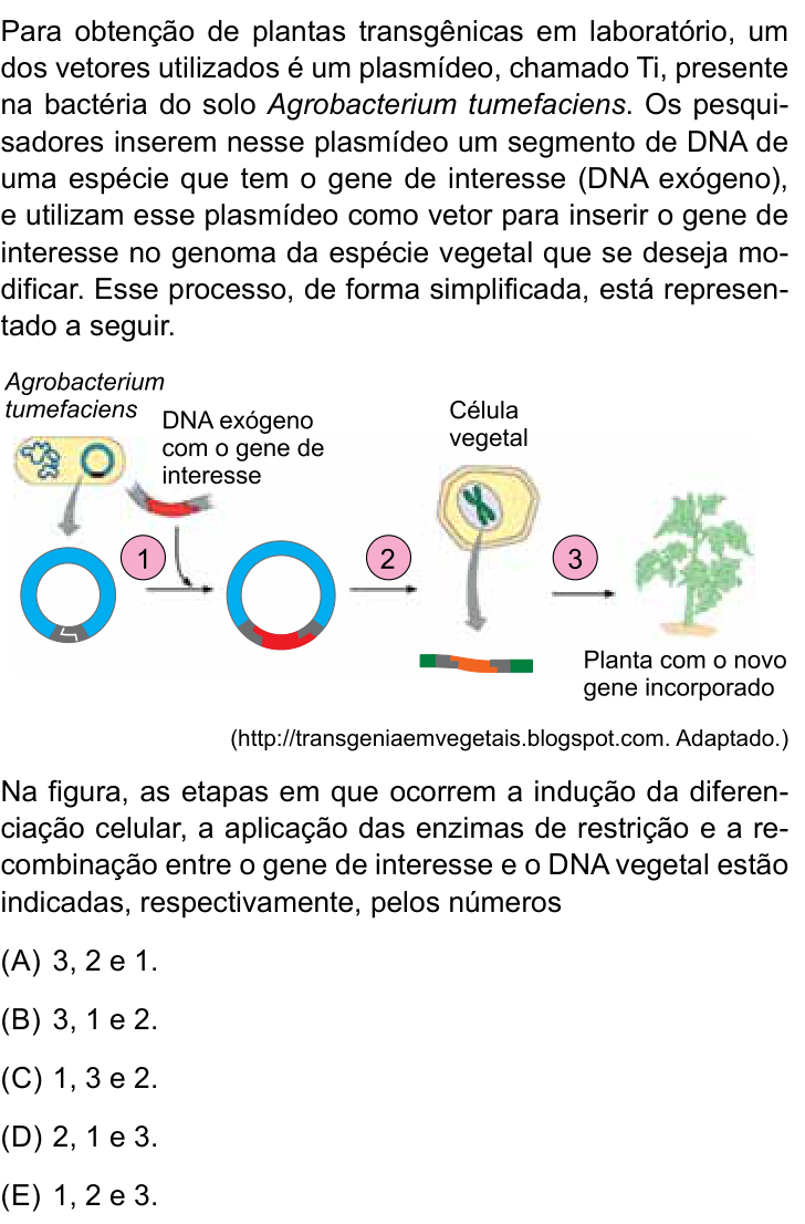 Questão 65 no caderno Conhecimentos Gerais da UNESP 2022