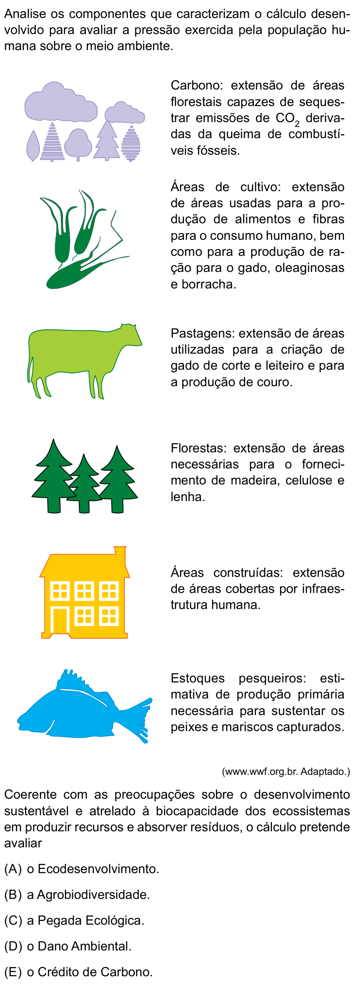 Questão 52 no caderno Conhecimentos Gerais da UNESP 2023