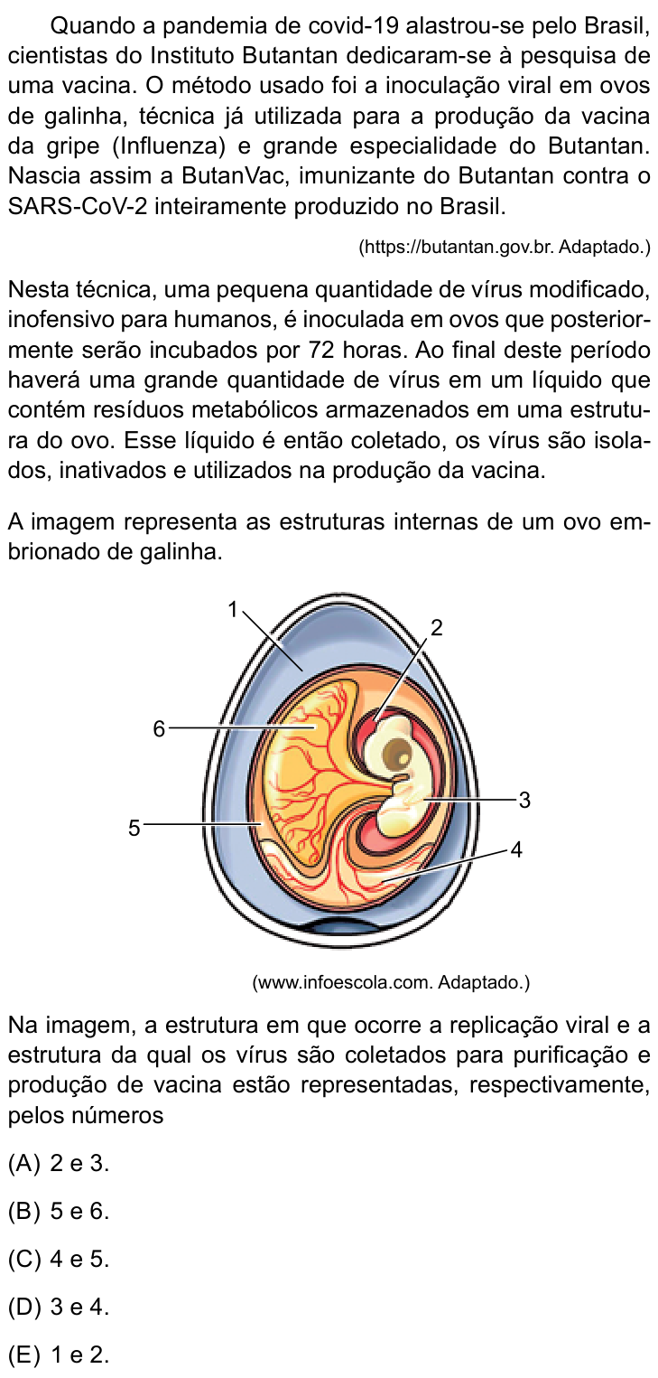 Questão 63 no caderno Conhecimentos Gerais da UNESP 2023
