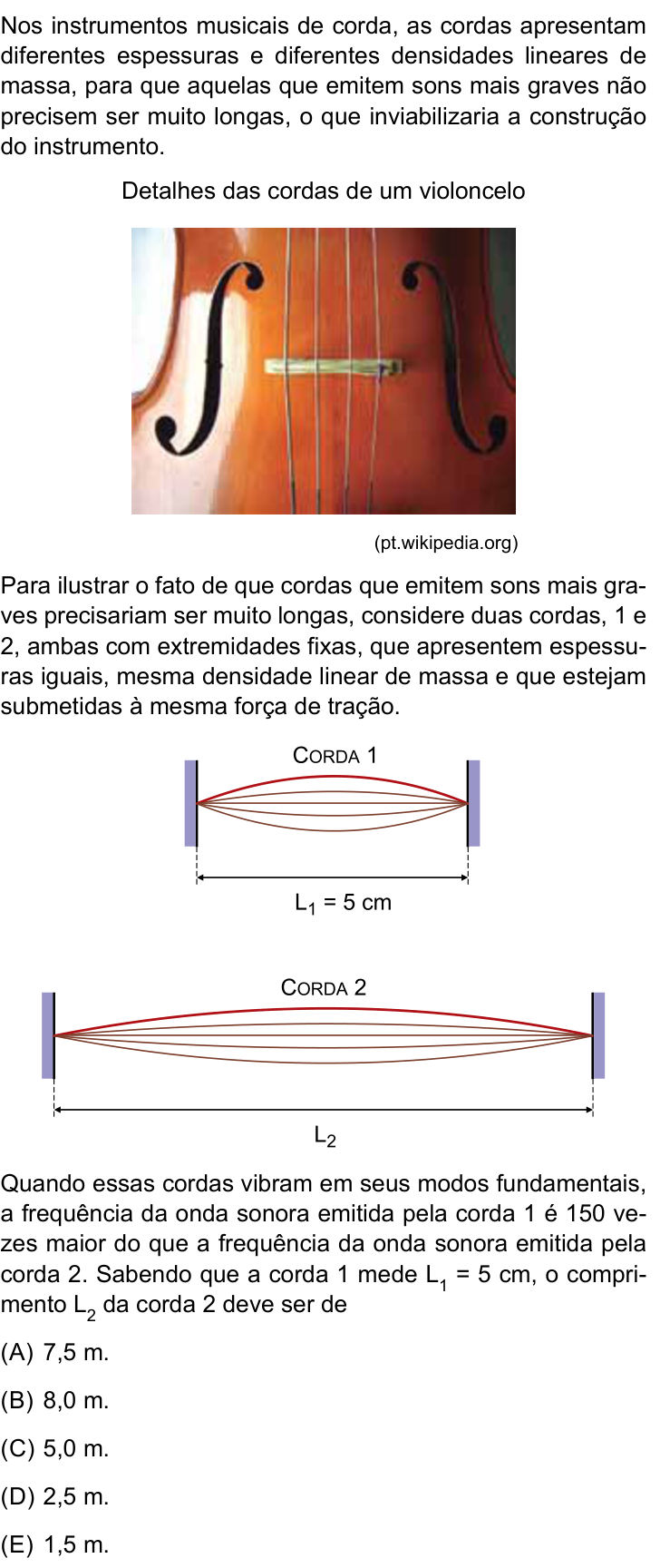 Questão 81 no caderno Conhecimentos Gerais da UNESP 2023