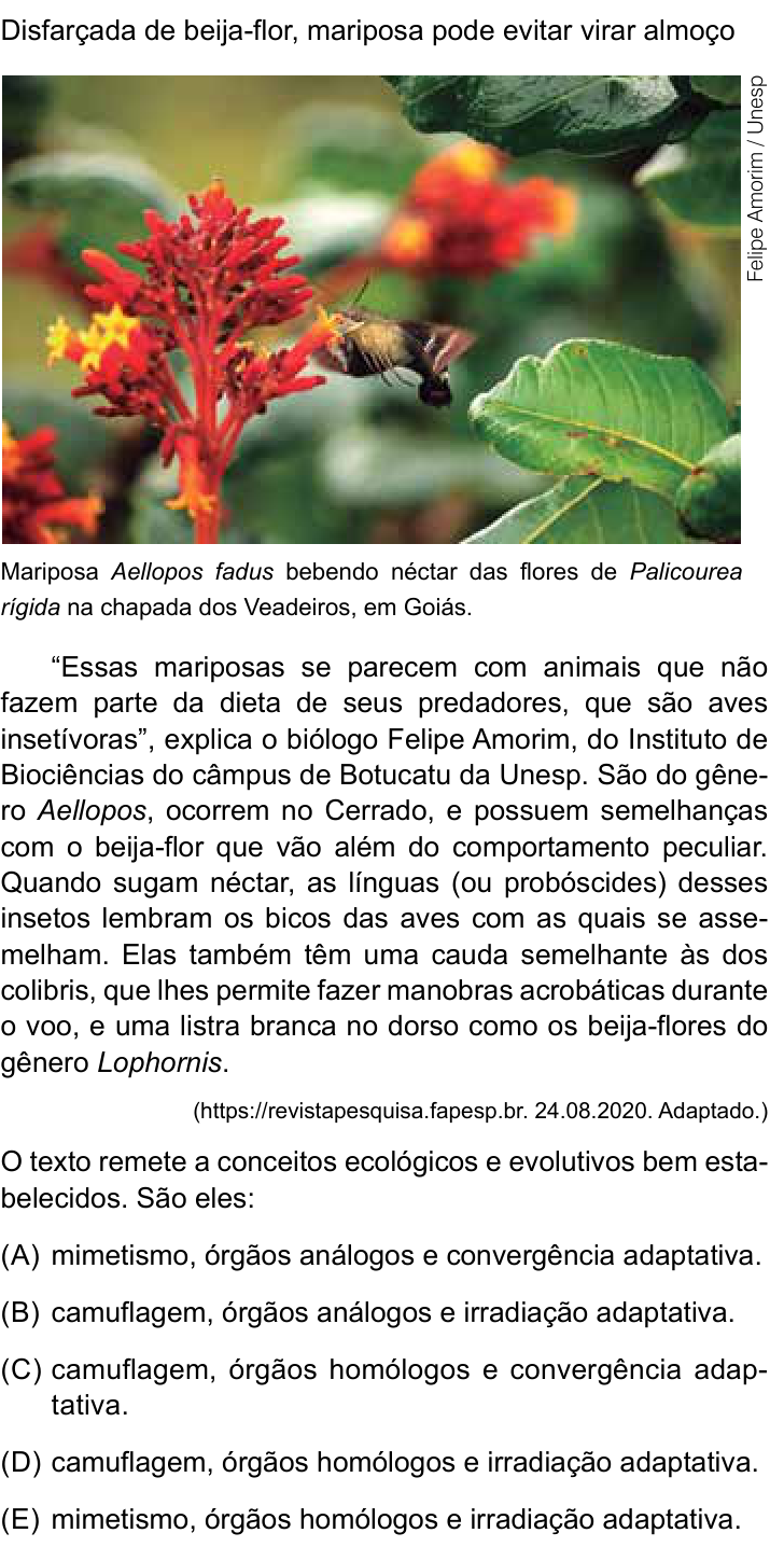Questão 45 no caderno Conhecimentos Específicos da UNESP 2023