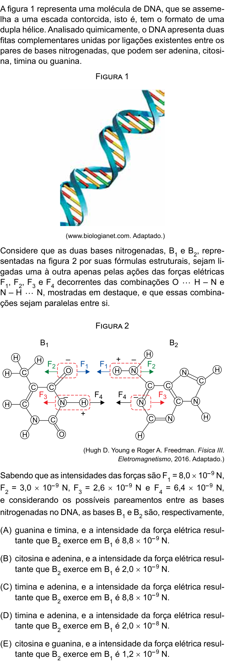 Questão 77 no caderno Conhecimentos Gerais da UNESP 2024