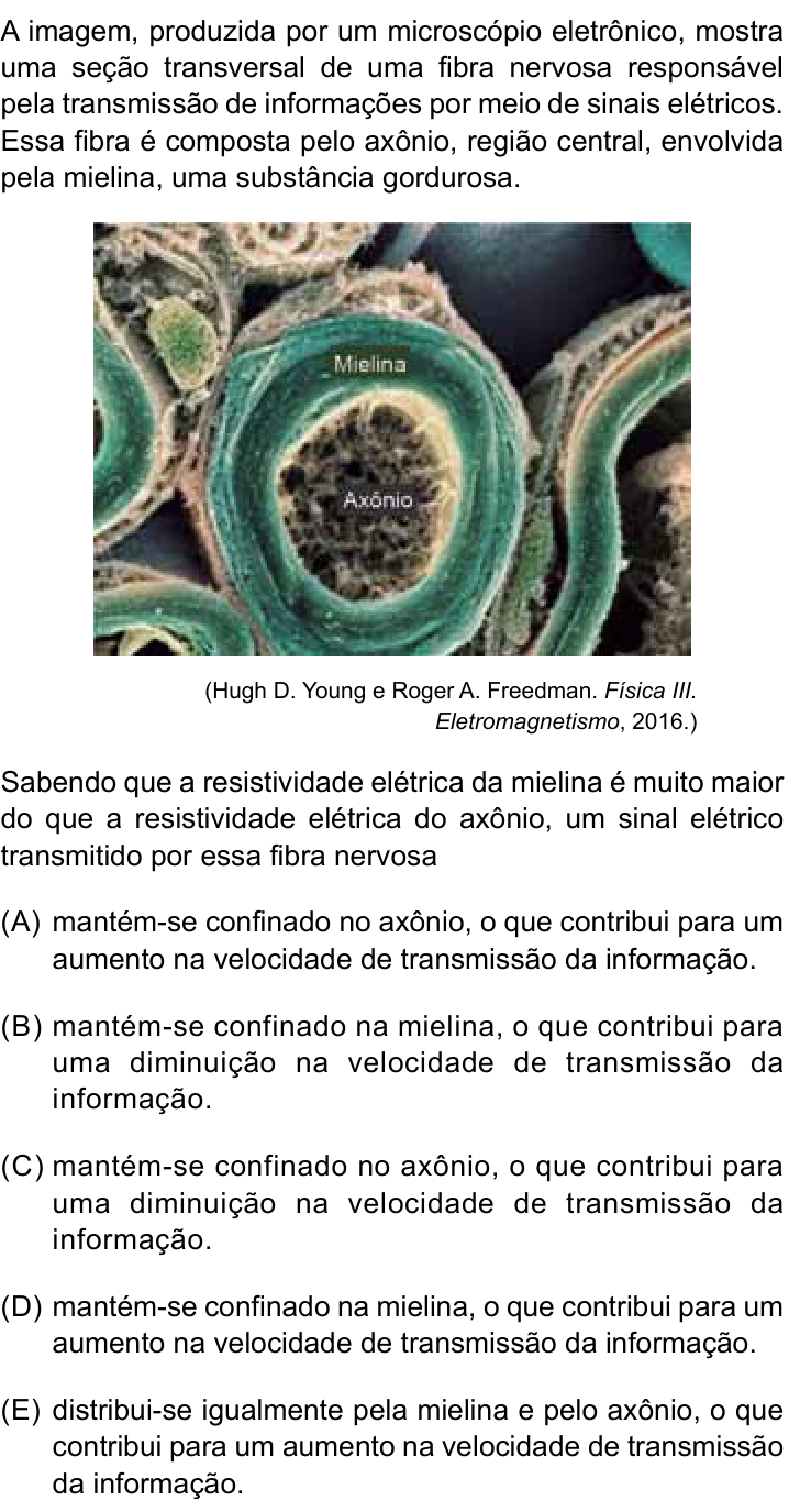 Questão 81 no caderno Conhecimentos Gerais da UNESP 2024