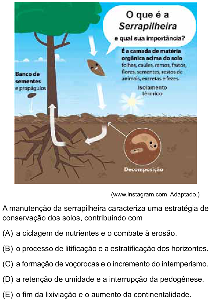 Questão 53 no caderno Conhecimentos Gerais da UNESP 2025