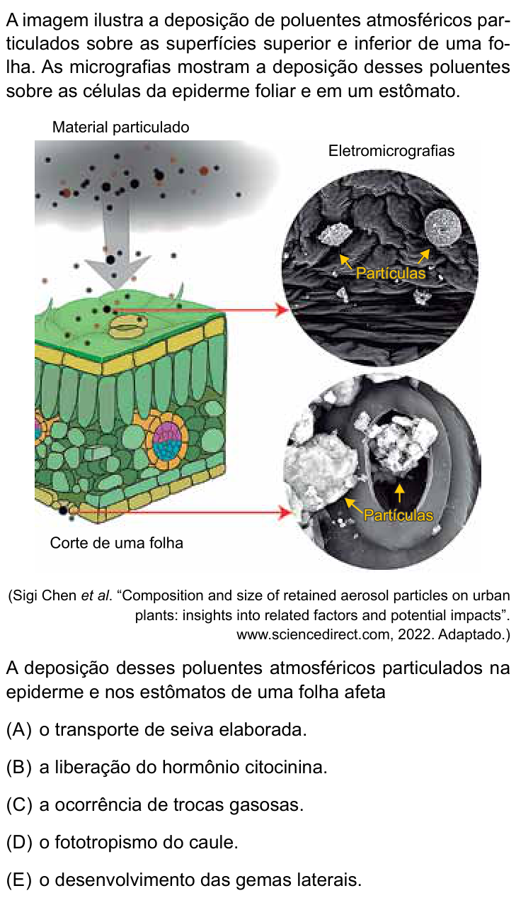 Questão 62 no caderno Conhecimentos Gerais da UNESP 2025