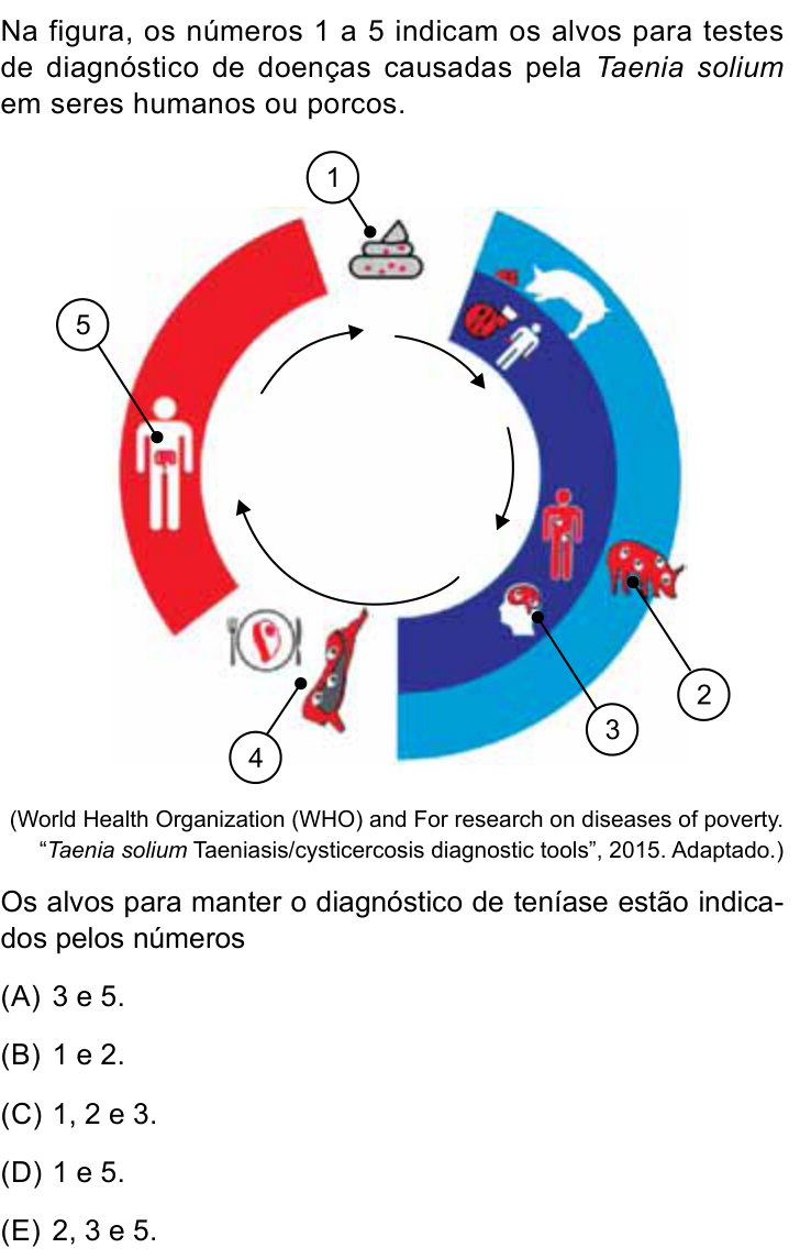 Questão 66 no caderno Conhecimentos Gerais da UNESP 2025