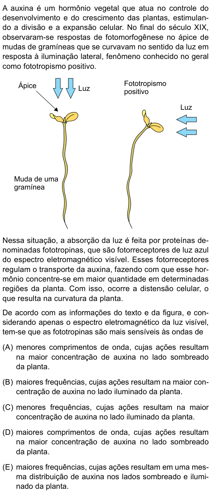 Questão 80 no caderno Conhecimentos Gerais da UNESP 2026