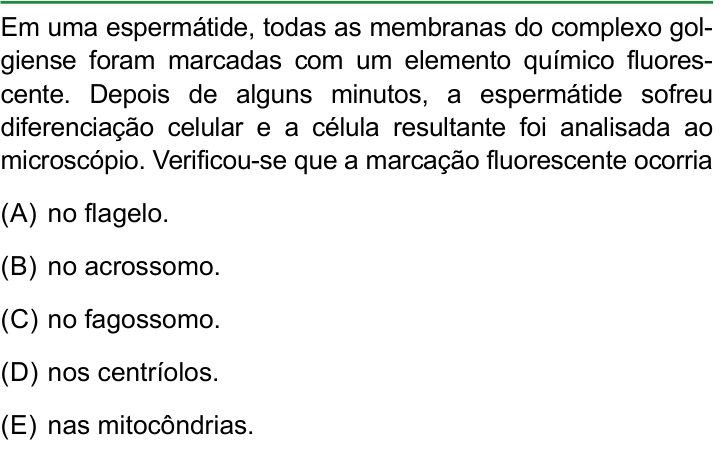 Questão 41 no caderno Conhecimentos Gerais da FAMERP 2023