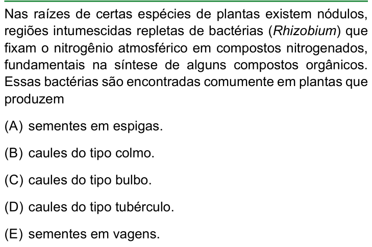 Questão 48 no caderno Conhecimentos Gerais da FAMERP 2023