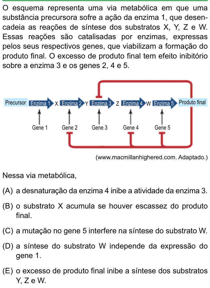 Questão 45 no caderno Conhecimentos Gerais da FAMERP 2024