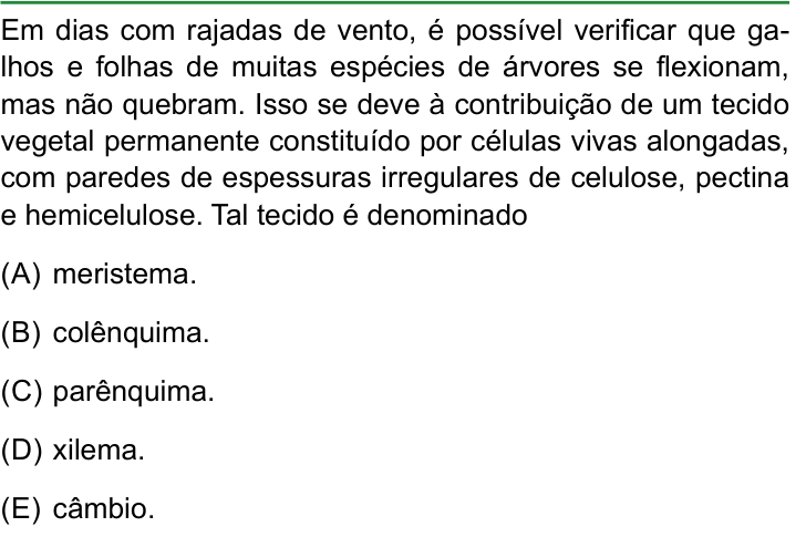 Questão 47 no caderno Conhecimentos Gerais da FAMERP 2024