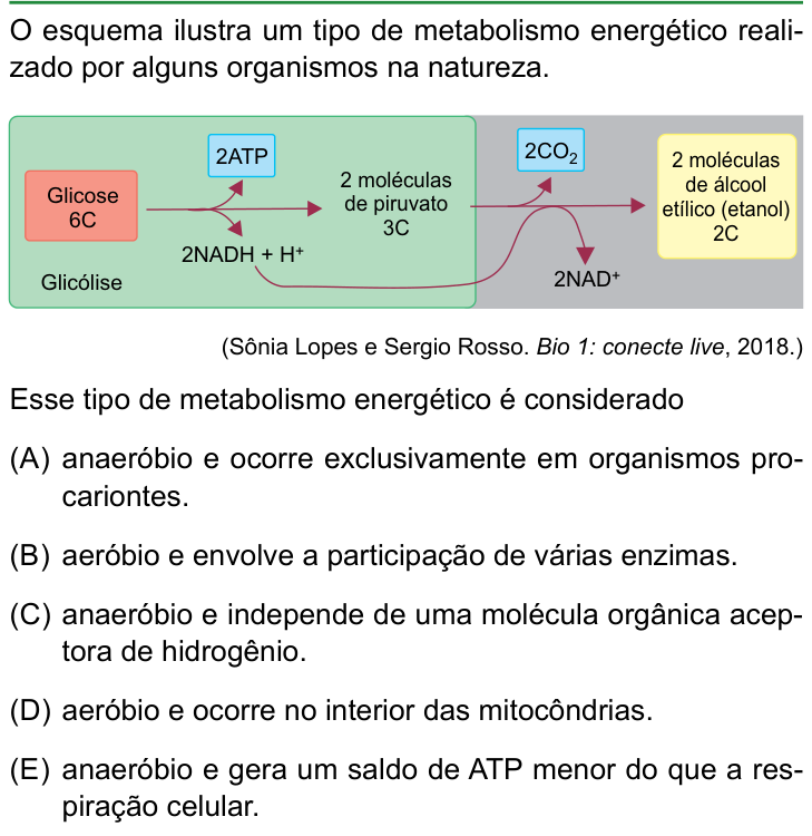 Questão 42 no caderno Conhecimentos Gerais da FAMERP 2025