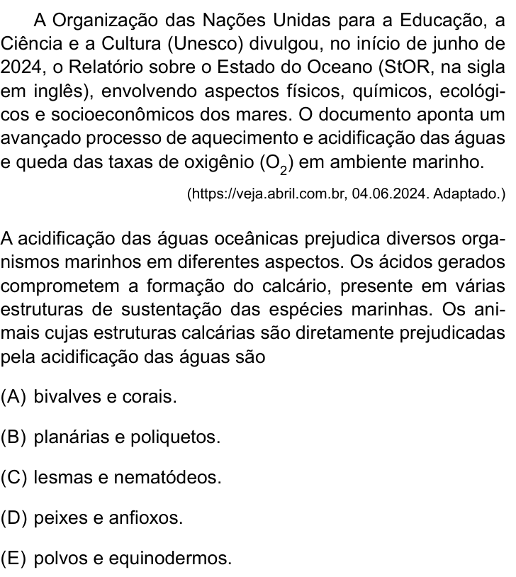 Questão 21 no caderno Prova II do São Camilo 2025