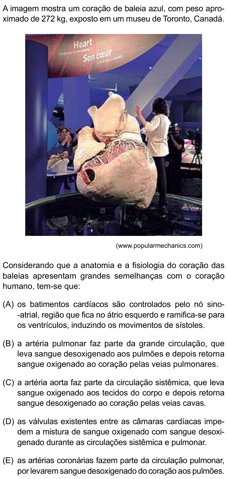 Questão 22 no caderno Prova II do São Camilo 2025
