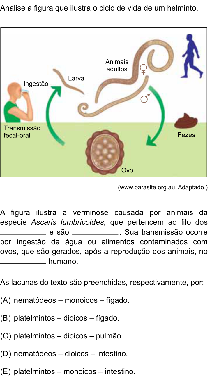 Questão 23 no caderno Prova II do São Camilo 2025