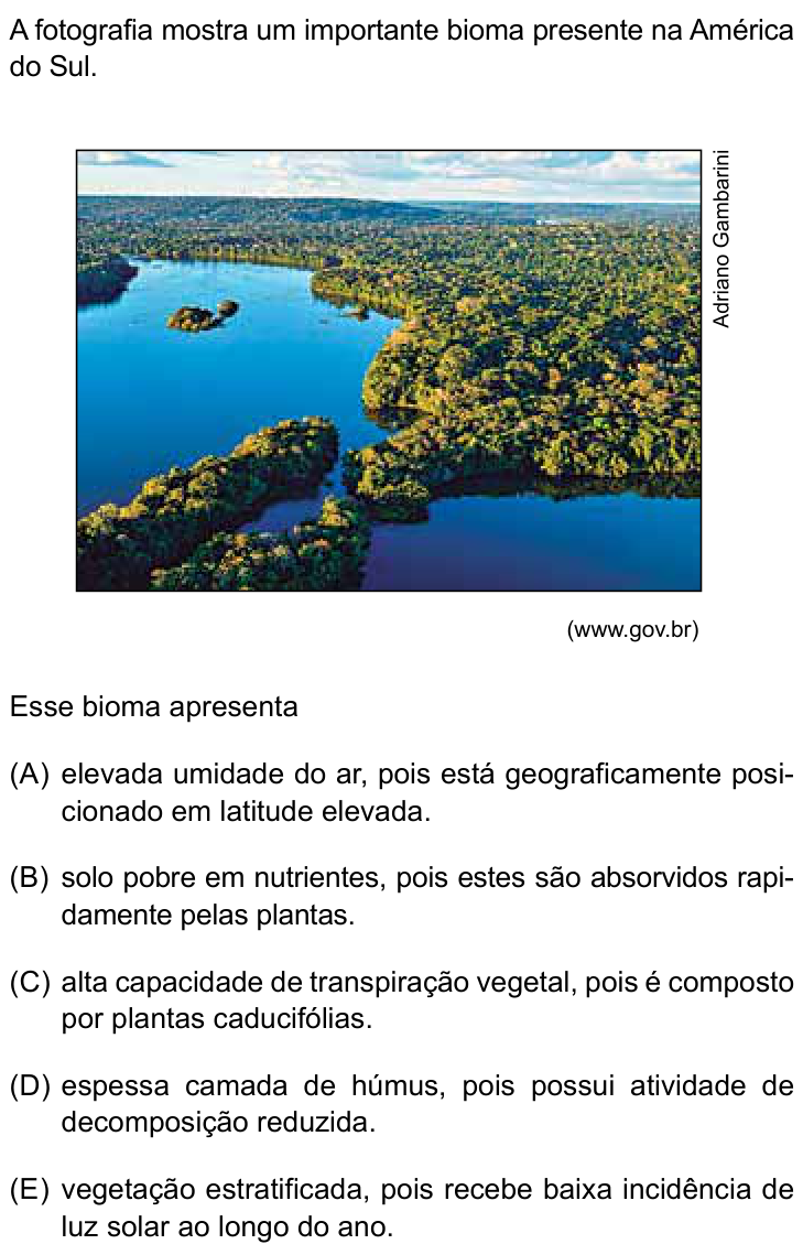 Questão 24 no caderno Prova II do São Camilo 2025