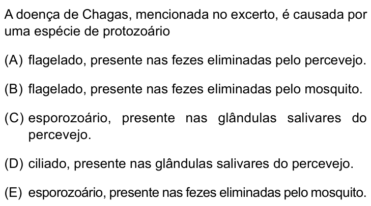 Questão 24 no caderno Prova II do São Camilo 2025