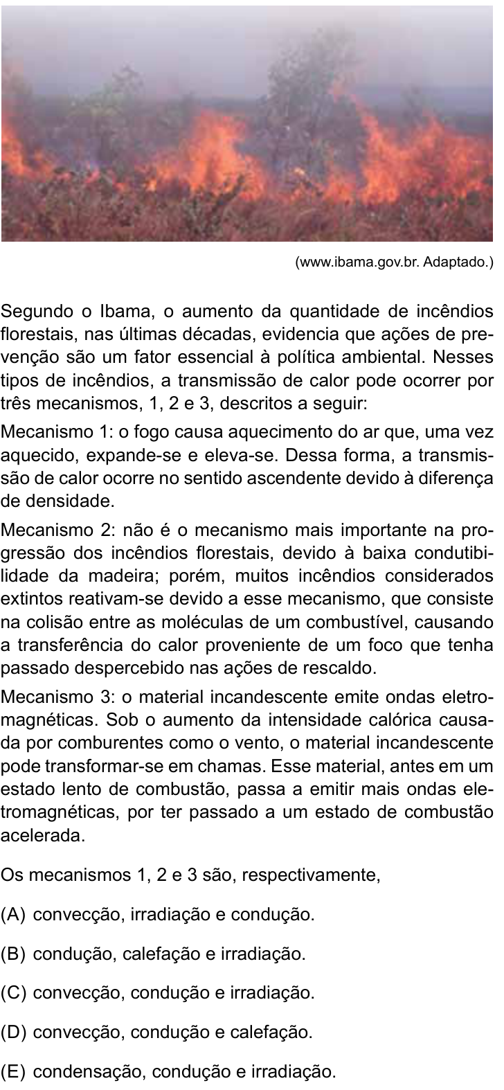 Questão 32 no caderno Prova II do São Camilo 2025