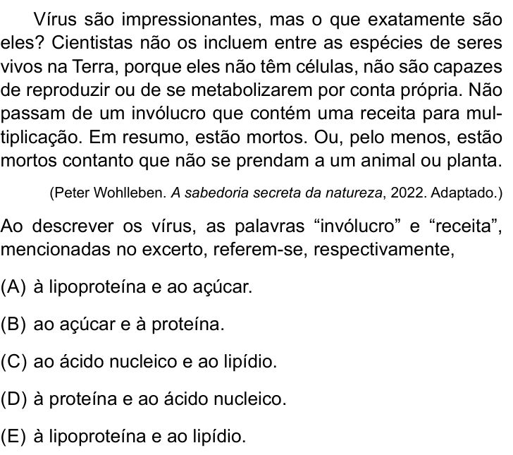 Questão 22 no caderno Prova II do São Camilo 2026