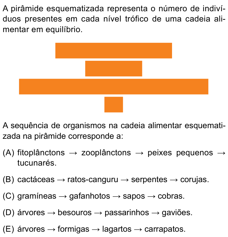 Questão 23 no caderno Prova II do São Camilo 2026