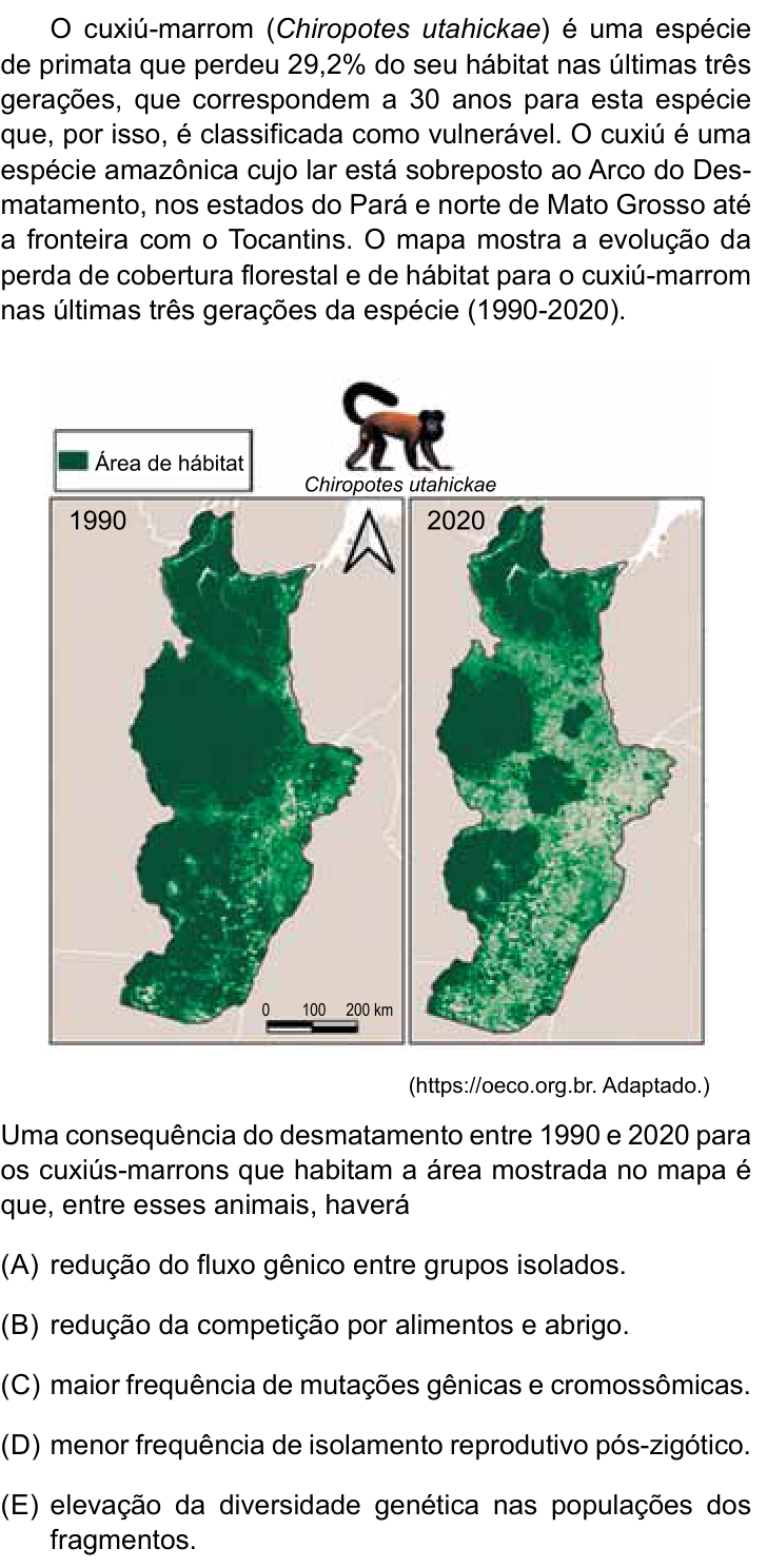 Questão 21 no caderno Prova II do São Camilo 2026