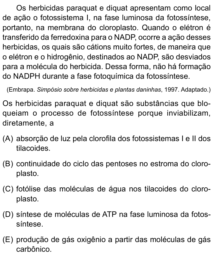 Questão 22 no caderno Prova II do São Camilo 2026