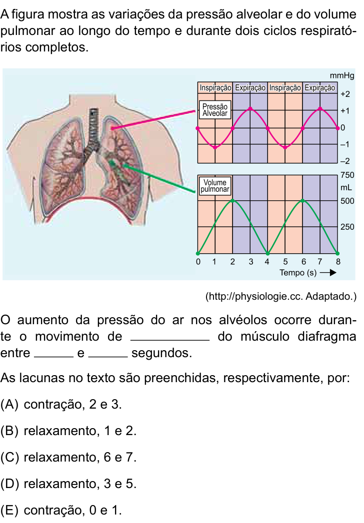 Questão 25 no caderno Prova II do São Camilo 2026