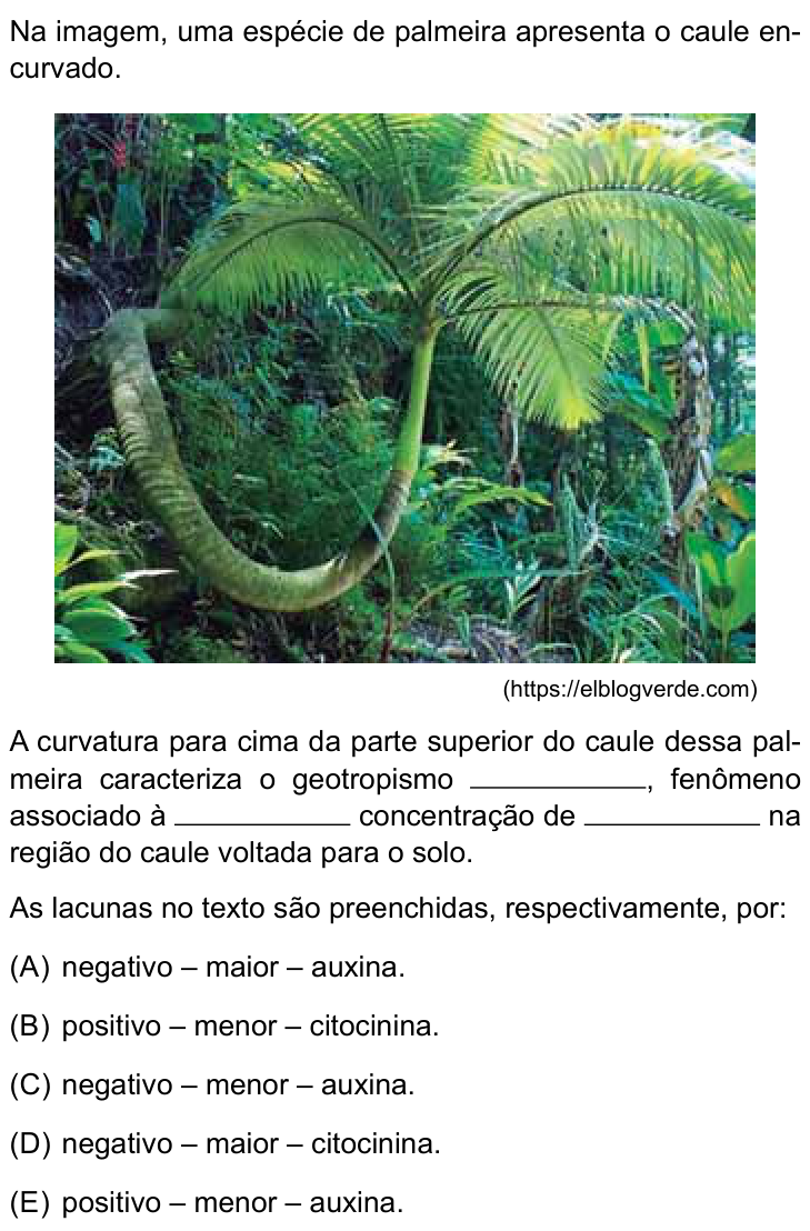 Questão 45 no caderno Conhecimentos Gerais da FMABC 2025