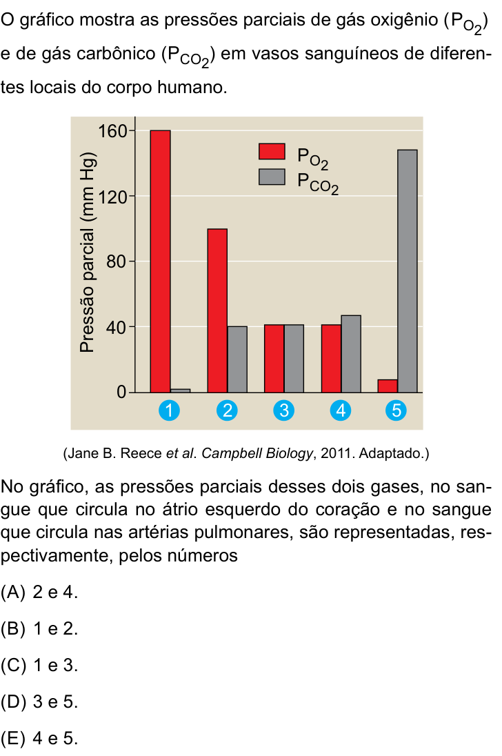 Questão 47 no caderno Conhecimentos Gerais da FMABC 2025