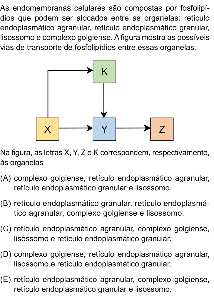 Questão 42 no caderno Conhecimentos Gerais da FMABC 2026
