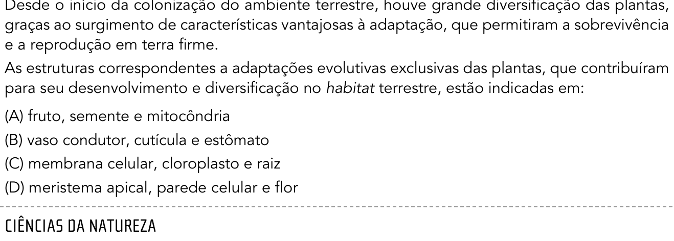 Questão 41 no caderno 2º Exame de Qualificação da UERJ 2014