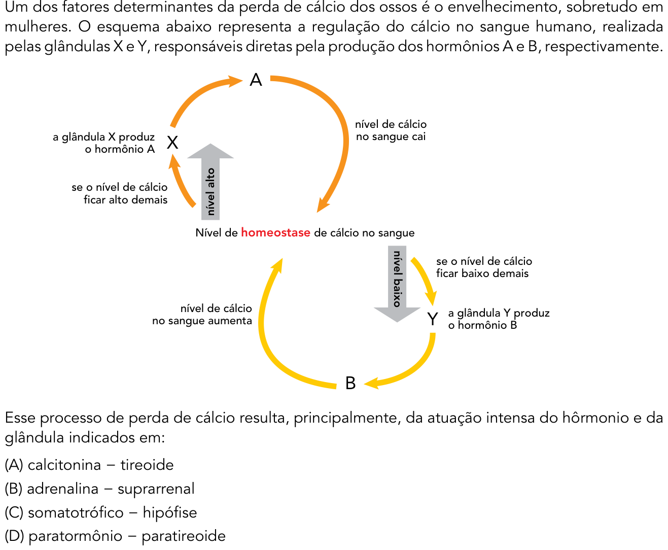 Questão 35 no caderno 1º Exame de Qualificação da UERJ 2016