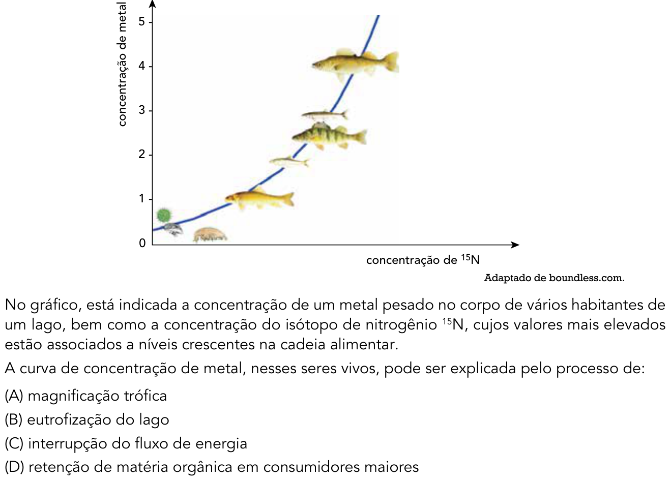 Questão 37 no caderno 1º Exame de Qualificação da UERJ 2016