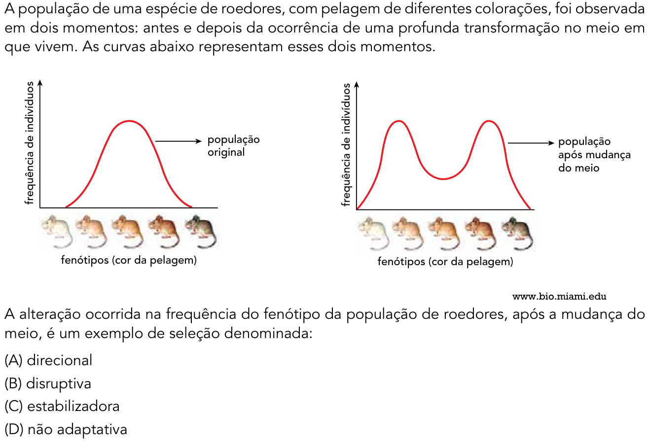 Questão 34 no caderno 2º Exame de Qualificação da UERJ 2016