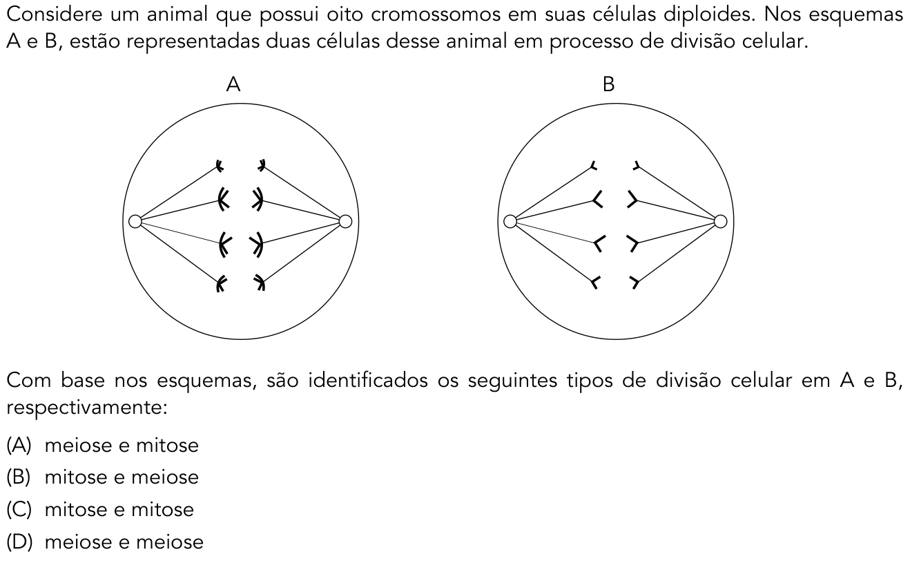 Questão 33 no caderno 1º Exame de Qualificação da UERJ 2017