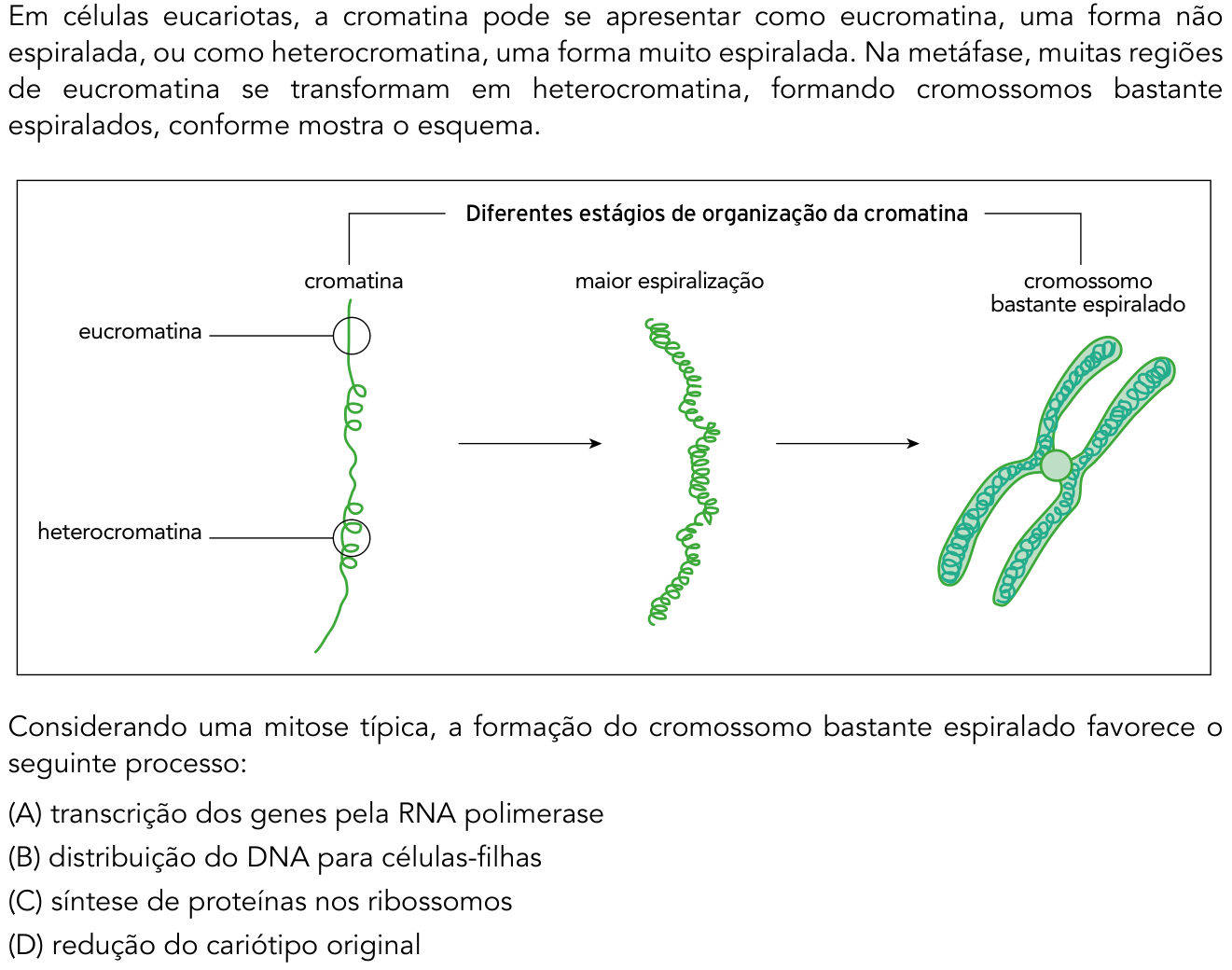Questão 46 no caderno 1º Exame de Qualificação da UERJ 2018