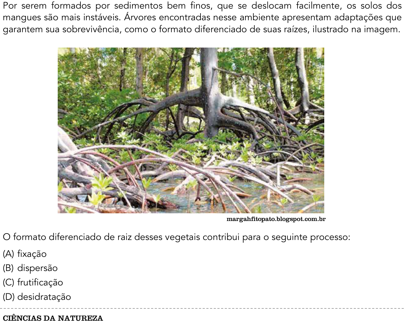 Questão 37 no caderno 2º Exame de Qualificação da UERJ 2018