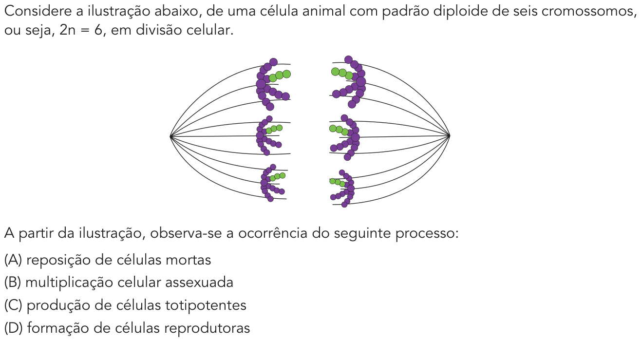 Questão 38 no caderno 1º Exame de Qualificação da UERJ 2019