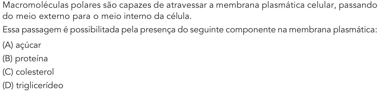 Questão 42 no caderno 1º Exame de Qualificação da UERJ 2019
