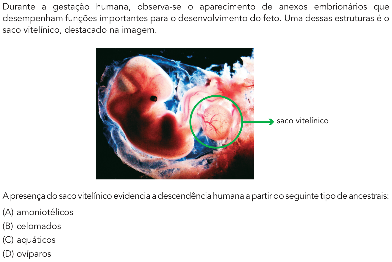 Questão 40 no caderno 2º Exame de Qualificação da UERJ 2019