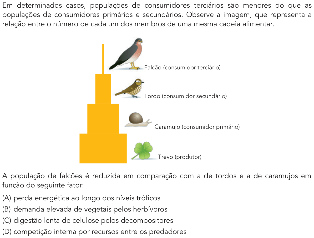 Questão 44 no caderno 2º Exame de Qualificação da UERJ 2019