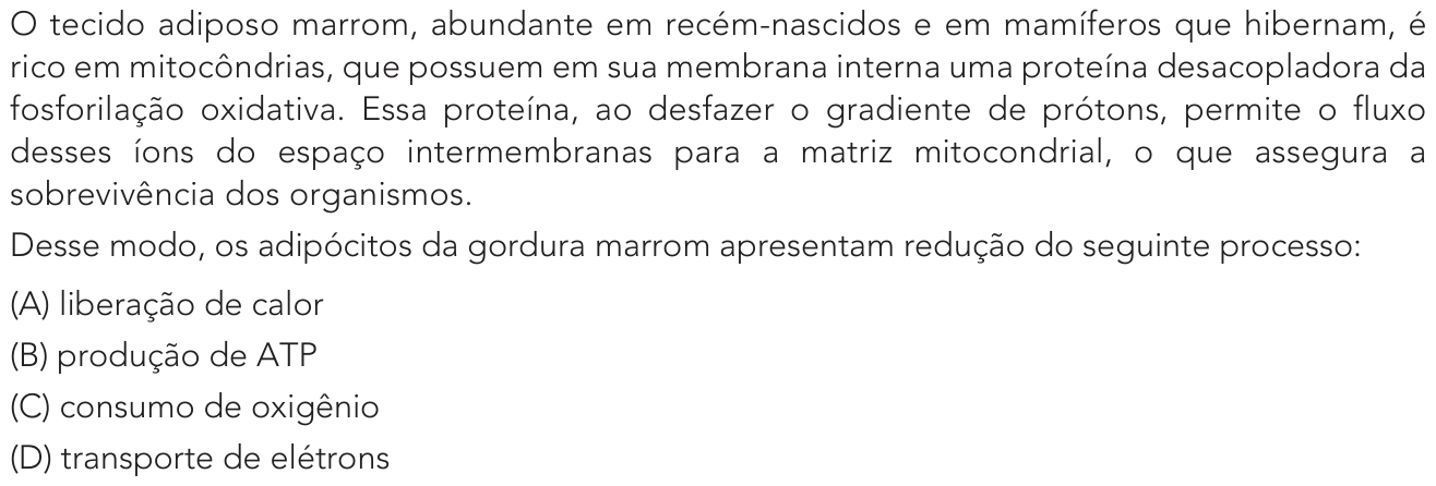 Questão 26 no caderno Exame Único da UERJ 2022
