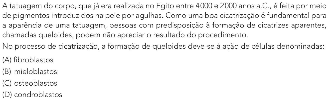 Questão 28 no caderno Exame Único da UERJ 2022