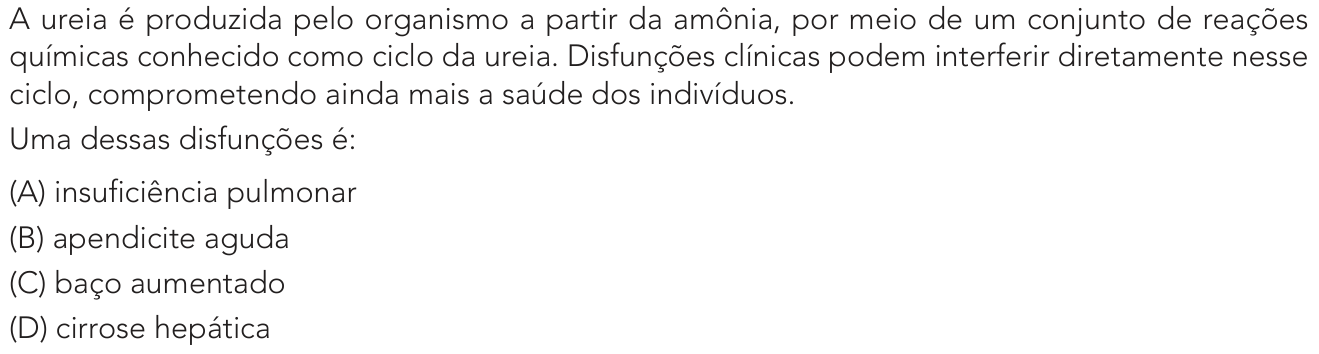 Questão 28 no caderno Exame Único da UERJ 2023