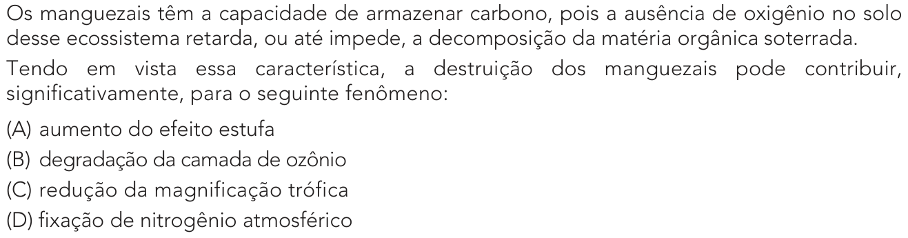Questão 38 no caderno 1º Exame de Qualificação da UERJ 2024