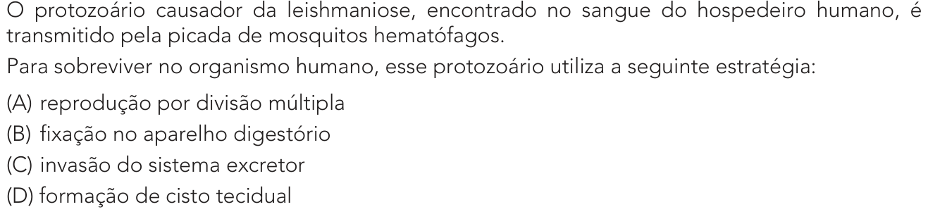 Questão 35 no caderno 2º Exame de Qualificação da UERJ 2024