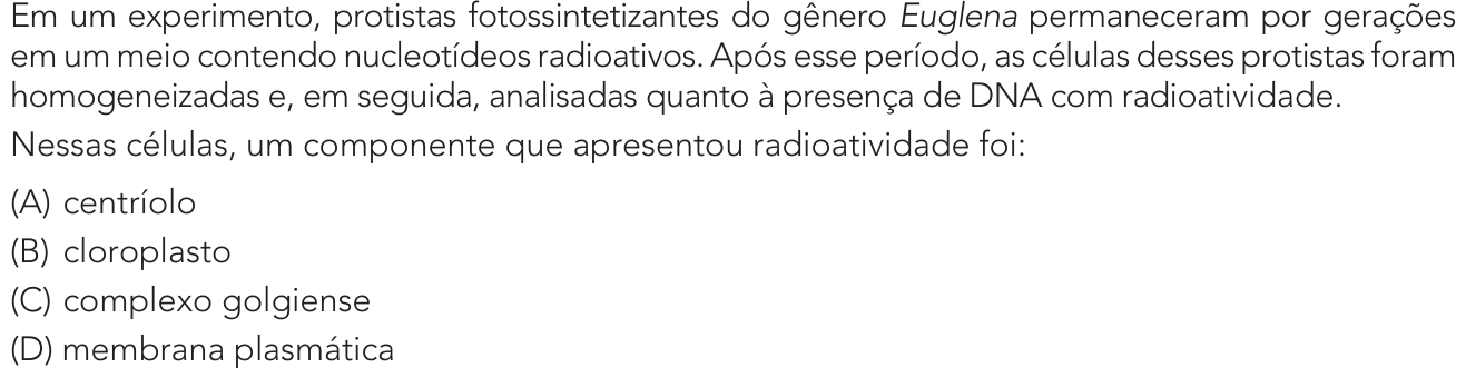 Questão 38 no caderno 2º Exame de Qualificação da UERJ 2024
