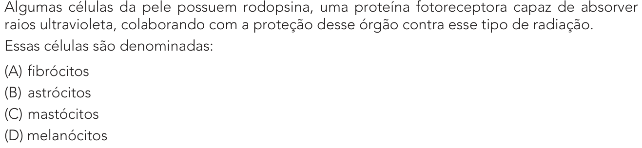 Questão 42 no caderno 2º Exame de Qualificação da UERJ 2024
