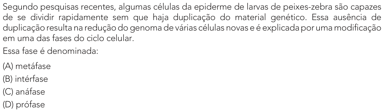 Questão 39 no caderno 1º Exame de Qualificação da UERJ 2025